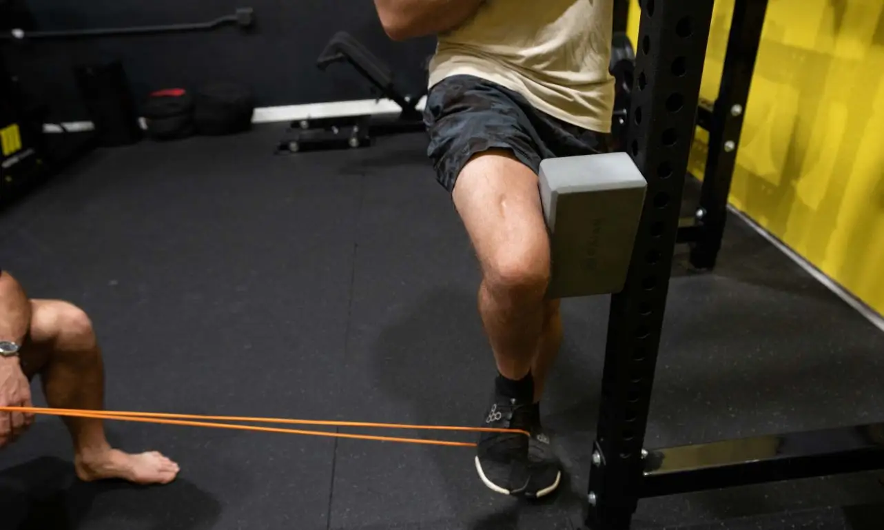 Inside the Joint: What Your Training Actually Does to the Tissue